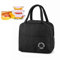 Kühltasche, Lunchtasche 6L, Kühltasche Klein, Lunchbag, Kühltasche Faltbar, Isoliertasche, Mini Kühltasche, Picknicktasche, Kühltaschen, Lunch Tasche, Frühstückstasche, Kleine Kühltasche für Unterwegs