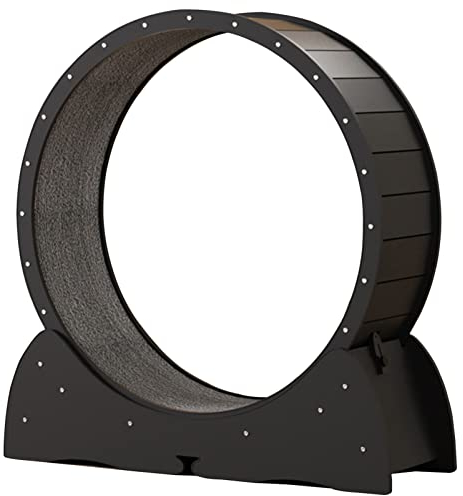 Katzenlaufrad Aufgebautes Laufrad für Katzen - Katzenrad Komplett Montiert für Innen mit Extra Sicherheit und Pfotenschutz,Black-XL