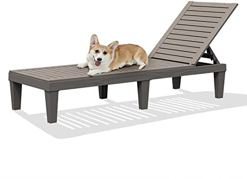 RAPTAVIS Outdoor Lounge Chair,Pool Chaise Lounge Waterproof Sunloungers,Gray
