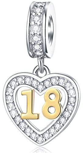 18 Jahre Geburtstag Charms passen Pandora DIY Armband, 18K Gold überzogene Zahl 18 Dangle, 925 Sterling Silber 18th Anniversary Halskette Perlen mit CZ, Geschenke für Zwillinge/Nichte/Cousin/Schwester