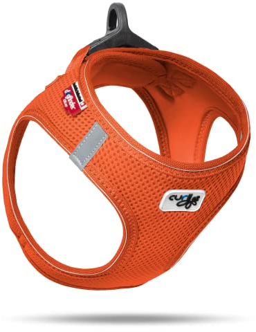 Vest Harness D-Ring Buckle Mandarin S