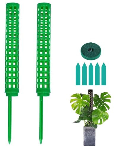 Monstera - Varillas de musgo para plantas trepadoras, incluye cinta adhesiva y etiquetas. Varillas de plantación para Monstera deliciosa, filodendro, sistema de soporte estable para plantas de