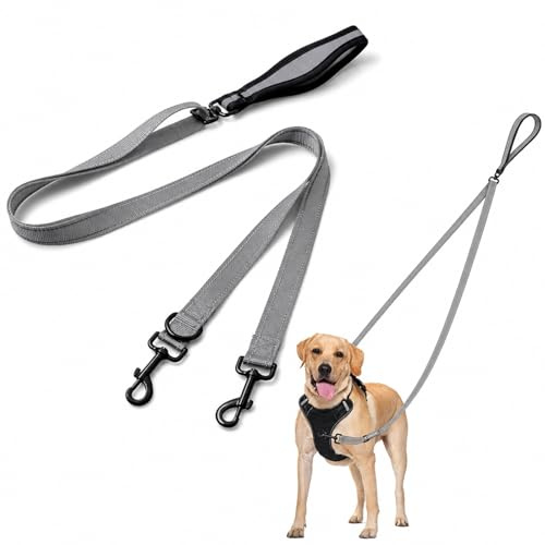 Double Ended Lead for Dogs, Dual Control Dog Leash for Training, Outdoor Activities and Daily Walking, Grey Color for Medium Large Dogs