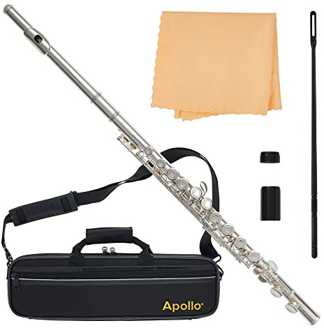Apollo Flauta con pie en C, completa con estuche y accesorios (plateado)