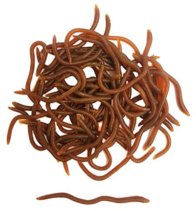 1.6in/3.3in Fishing Soft Lure Trout Worm Earthworm Bait Lifelike Fake Bloodworm Grub Worm Soft Fishing Lure Baits (Brown (50pcs/Pack), 3.3inch)