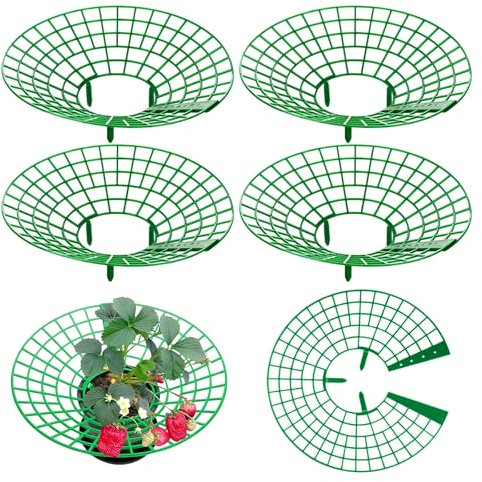 LUMOOM 4 supporti per fragole, supporto per fragole con protezione per lumache, fragole per piante di fragole, torre per piante a spirale, supporto per pomodori e fragole, protezione per pomodori (A)