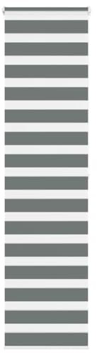 vidaXL Zebra Roller Blind, Dark Grey, 60x200 cm, Adjustable Light Control, Polyester Material, Living Room/Bedroom Office Decor, Child Safety Chain Feature