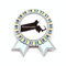Massachusetts USA Karte Umriss Abzeichen Brosche Pin Gewinner Award Medaille, M, Metall