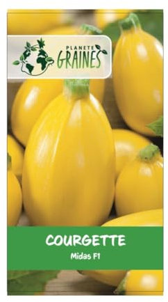 5 graines de courgette Midas F1-