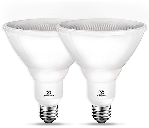 Energetic LED Flood PAR38 Light Bulb, 5000K Daylight, 90W Equivalent, Efficient 11W, Wet Rated, 900 Lumens, Medium Base, Non-Dimmable, 2 Pack