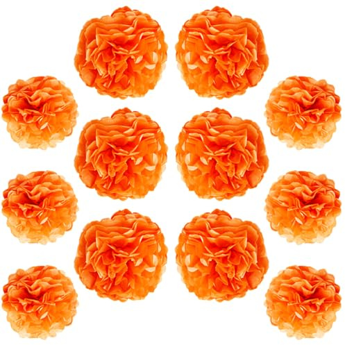 Ruidee 12 pompones de papel de seda de 10 y 12 pulgadas, decoración de flores de papel de color, bola de flores, pompones para decoración de fiestas y bodas (ZH/naranja)