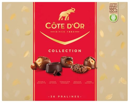 CÔTE D'OR - Coffret Collection - Assortiment 36 Chocolats - 4 Recettes : Double Noisette, Cacao Intense, Sensation Caramel, Rocher Amandes, Dôme Noisette - Idée Cadeau Noël à Offrir - 1 Boîte de 345g