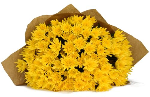 Ramo de Margaritas Amarillas Frescas con 100 Flores de Crisantemo Naturales en Diseño Moderno y Elegante Ramo Premium