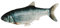Kerbl Pet 80998 Katzenspielzeug Jumping Fish, Interaktiver Fisch m. wedelnder Flosse