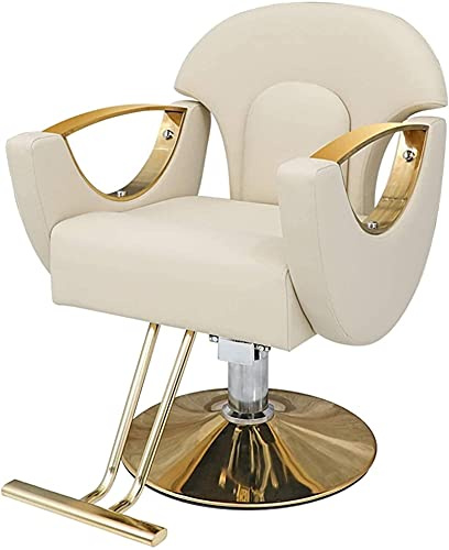 Vintage Barber Chair - Hydraulic Swivel Salon Styling Chair, Modern Minimalist Design, 360° Rotation, Heavy Duty Hairdressing Chair for Barbershop & Salon Use
