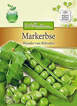seedsown Pea 'Milagro de Kelvedon' - Pisum sativum, Mark Guisante, Guisantes Semillas 4412