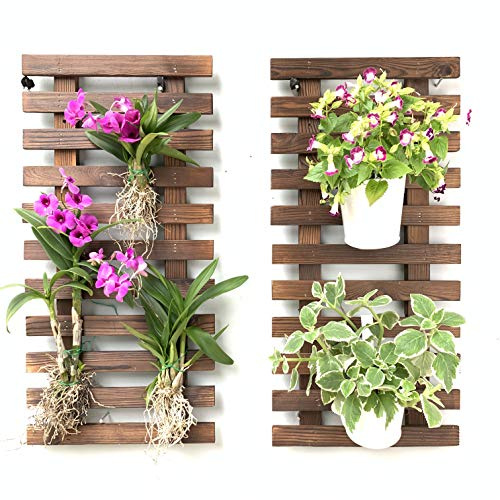 ShopLaLa Jardinière Murale – Jardinière Suspendue pour Plantes d'intérieur, Support de Plantes, Plantes Grasses, Support de Plantes Grasses, Jardin Vertical, Grande décoration Murale pour Salon,