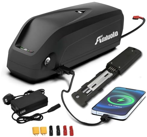 Adaluolo 48V Ebike Battery 15AH Hailong Electric Bike Battery Removable Lithium ion Bicycle Batteries with Charger, 4 Pin Fix Plate, Indicator Light for 100W-1000W Motor