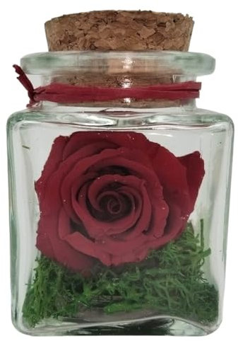 Genérico Rosa ETERNA ROJA PRESERVADA. Cubo de Vidrio. Mini. Rosa roja Natural preservada. Rosas Rosas eternas. Flores preservadas. Regalo Original Flor preservada.