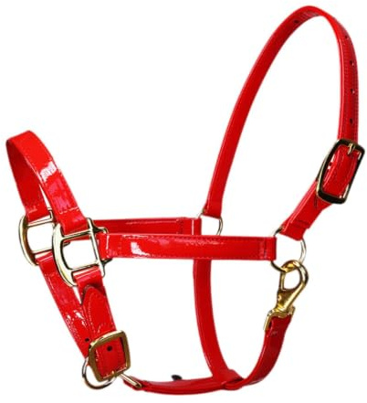 Tdoutop And Throatlatch with Snap Hook, Groundwork, Microfiber, Horse Rope Training Halter for Competitions, Grassland, Red L