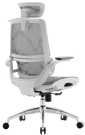 SIHOO M59AS Ergonomischer Bürostuhl mit 3D-koordinierbaren, hochklappbaren Armlehnen, Doppelsitzlehnen-Design und adaptiver Lendenwirbelstütze, Mesh-Schreibtischstuhl für das Homeoffice (Weiß)