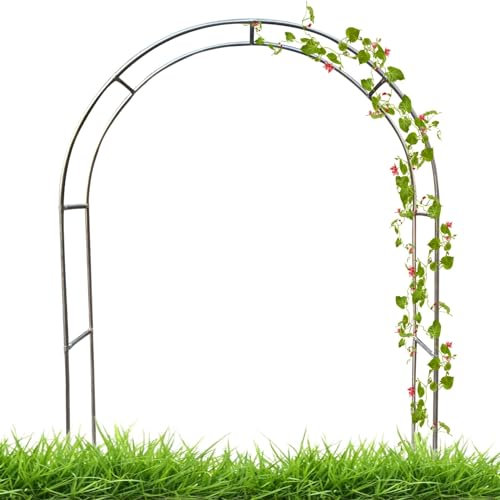 Arche de jardin avec cadre en acier - Treillage de 3,2 m de haut - Support de plantes d'extérieur pour roses, vignes et fleurs