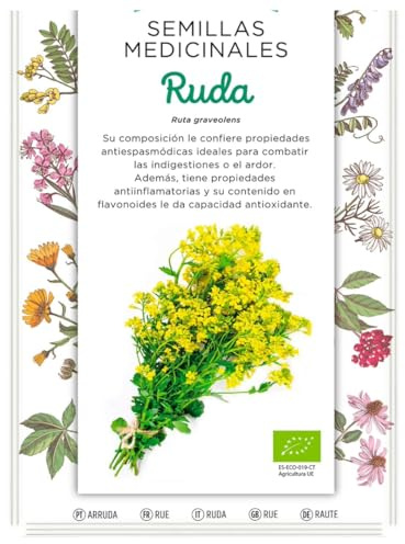 Semillas Medicinales - Ruda - Semillas listas para plantar.