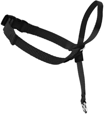 KANGYEBAIHUODIAN Passar for mild ledarsele Hundgrimma Träningshuvudhalsband Nylon Breakaway All Seasons Användbara selar Bly (Color : Black, Size : L)