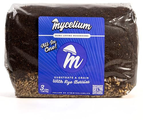 Mycelium Substrato di funghi e bacche di segale, 1,4 kg, formula all-in-one in fibra di cocco, vermiculite e gesso, pre-sterilizzato e pronto per una facile coltivazione domestica