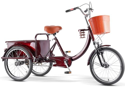 LSQXSS Tricycle Cargo avec Cabine arrière, vélo à 3 Roues avec Roues de 20 Pouces, Tricycle Adulte avec Double freinage, pour Les Loisirs, Le Shopping,Suspension Avant