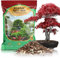 GOTVUGE Terriccio per bonsai di alta qualità con aerazione e drenaggio migliorati, terriccio di grado professionale per bonsai (2 l)