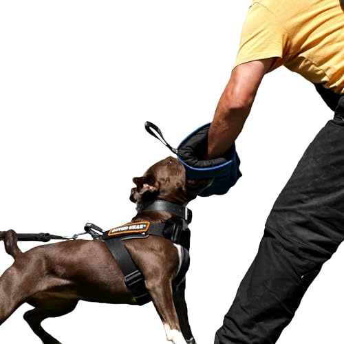 Dingo Gear Mini Manchette de Morsure en Nylcot Souple avec Poignée et Prise, Protection de Morsure pour IGP, Sports Canins, Chiots, Formation de Jeunes Chiens, Bleu, Niveau 1 - Débutant (S01962)