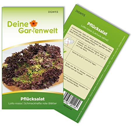 Pflücksalat Lollo rossa Samen - Lactuca sativa - Pflücksalatsamen - Gemüsesamen - Saatgut für 100 Pflanzen