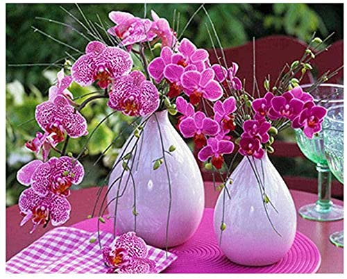 Kreuzstich Stickpackung Orchidee 11CT Full Range of Embroidery Starter Kit DIY Kinder Erwachsene Familie Dekoration 40x50cm