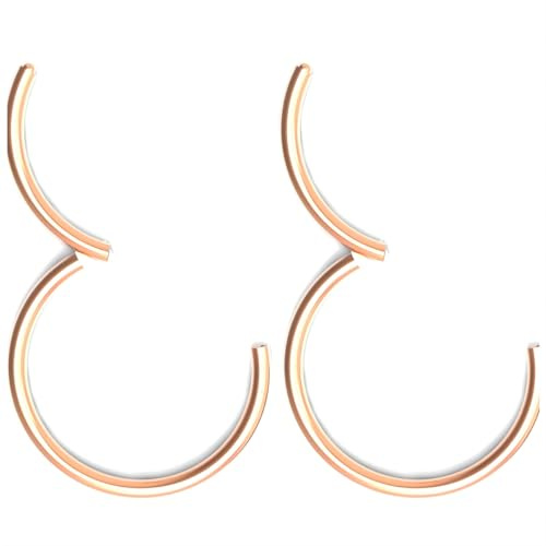 Body CAC 2PCS-20G(0.8mm) 8mm Hinged Nose Rings,Medical Implant Grade 316L Surgical Steel Segment Clicker Hoop Piercing Lip Helix Cartilage Rook Ring Earrings, Rose Gold