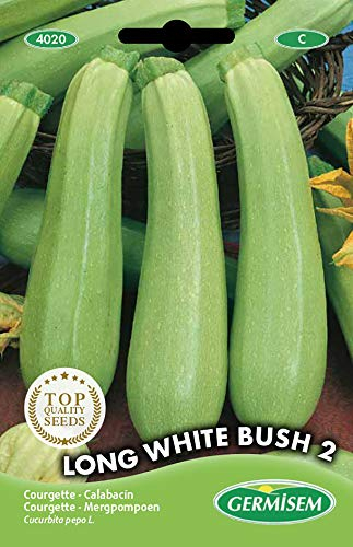 Germisem Zucchini WITHE BUSH 2, mehrfarbig, EC4020