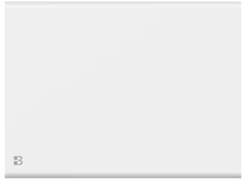 BESTHERM - Radiateur électrique fixe à inertie sèche fonte+film 1000W Bestherm NEMESIS horizontal blanc