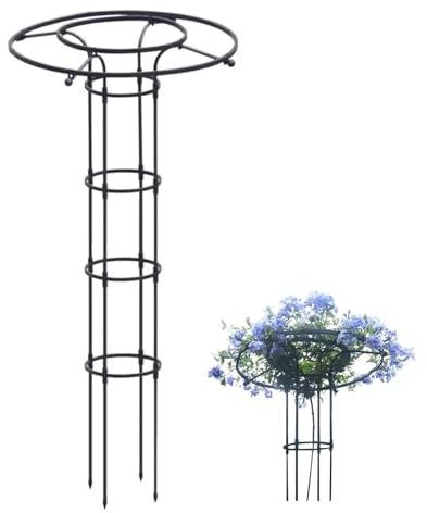 Treillis obélisque de jardin en métal pour plantes grimpantes - Antirouille - Tour de glycine verticale - Treillage décoratif pour fleurs et légumes en pot - Support de plantes d'intérieur et
