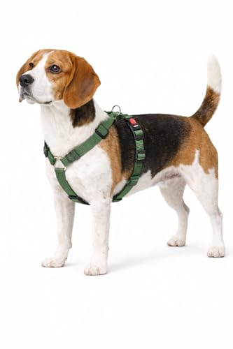 Harnais Chien - Harnais Ziggi Kaki H-Forme - Taille M - 45-65 cm / 55-70 cm - Nylon réglable - Anneau métal Nickel