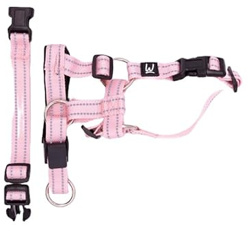 No Pull Dog Head Collar for Training – Reflective, Adjustable Halter for Walk Control – Humane Alternative to Harness or Choke Collar (Pink, L)