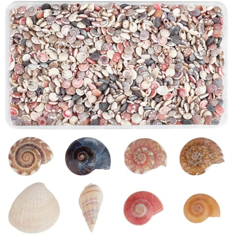 PH PandaHall Tiny Sea Shells, 190g Colorful Spiral Ocean Beach Seashells No Hole Small Turbo Shell Craft Shell Charms Mini Shells for Resin Crafts Party Wedding Home Decor Vase Filler Fish Tank