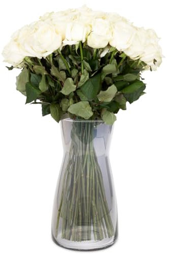 Gohytal Vase Cylindrique en Verre Rond 20 cm de haut pour Décoration de Table Vase décoratif pour herbe de la pampa tulipes orchidées roses fleurs séchées légant pour chambre à coucher