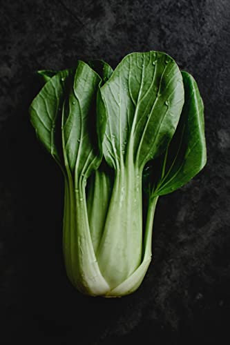 Pak Choi Plug Plants Grow Your Own Salad Plants (3)