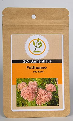 Fetthenne, Wildform Sedum telephium 100 Samen SC-Samenhaus