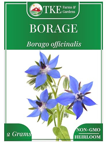 TKE Farms & Gardens - Borage Seeds for Planting, 100+ Non-GMO Heirloom Seeds, Attract Bees & Pollinators, Fast Growing Companion Plant for Tomatoes & Strawberries, Includes Instructions