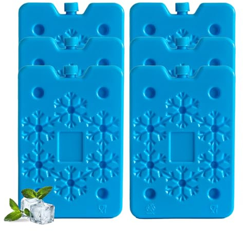 sunVigorous Panetti refrigeranti per borsa frigo - 4/6/8 pezzi da 400 ml - Elemento refrigerante ultrasottile riutilizzabile - Adatto per attività all'aperto da portare con sé per mantenere gli