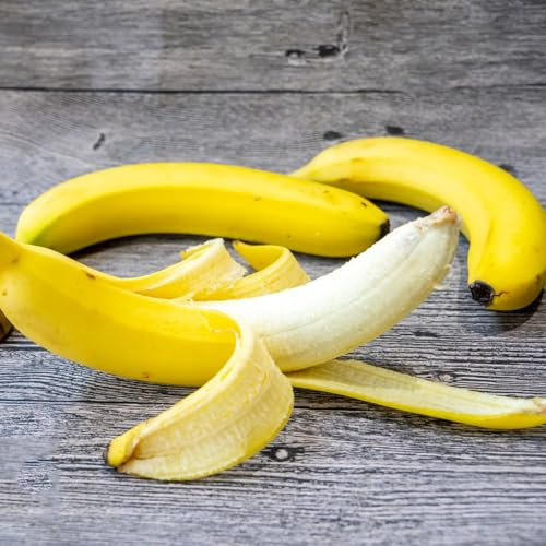 di banana semi di banana resistenti in vaso per uso esterno banane Coltivazione verdi, da appartamento da balcone Semi 15pcs