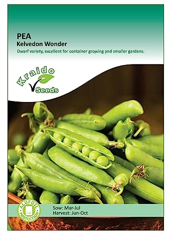 Pea Seeds for Planting UK - Kelvedon Wonder - 100 Seeds