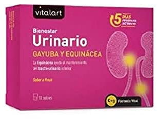 VITALART Bienestar URINARIO 10sbrs.