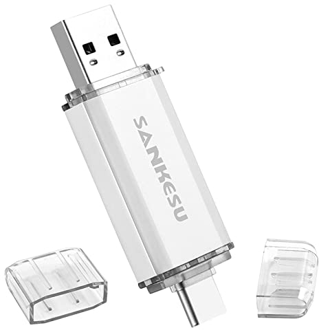 SANKESU USB 3.0-Stick 256GB Typ-C-Flash-Laufwerk, USB-A und Typ-C-OTG-Dual-Thumb-Laufwerk, 2-in-1-Speicherstick Externer USB-Datenspeicher kompatibel mit Typ-C-Telefonen und Tablets/Laptops/Computern